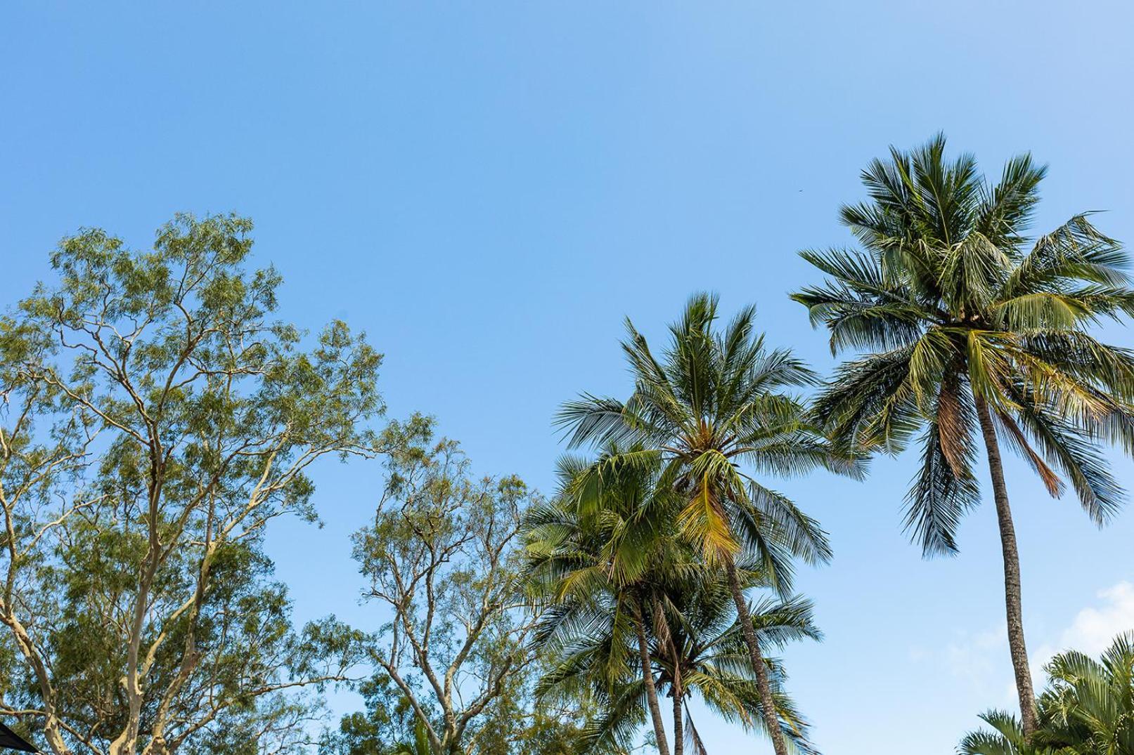 Kipara Tropical Rainforest Retreat Airlie Beach Eksteriør bilde